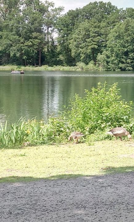 Cafe-Restaurant am Rubbenbruchsee